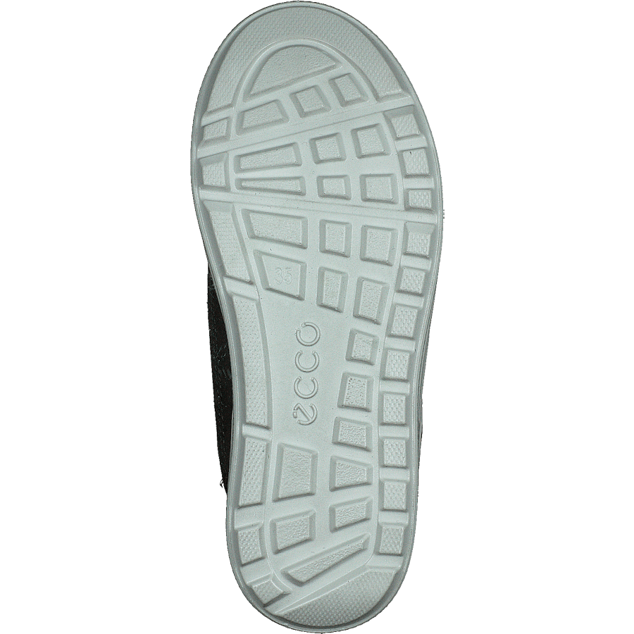 Urban Snowboarder Deep Forest