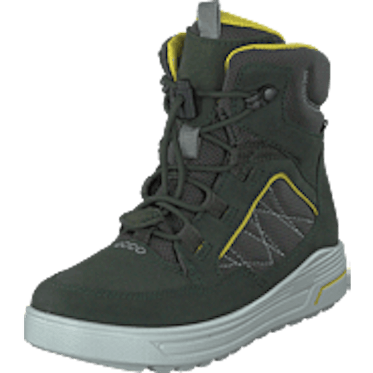 Urban Snowboarder Deep Forest