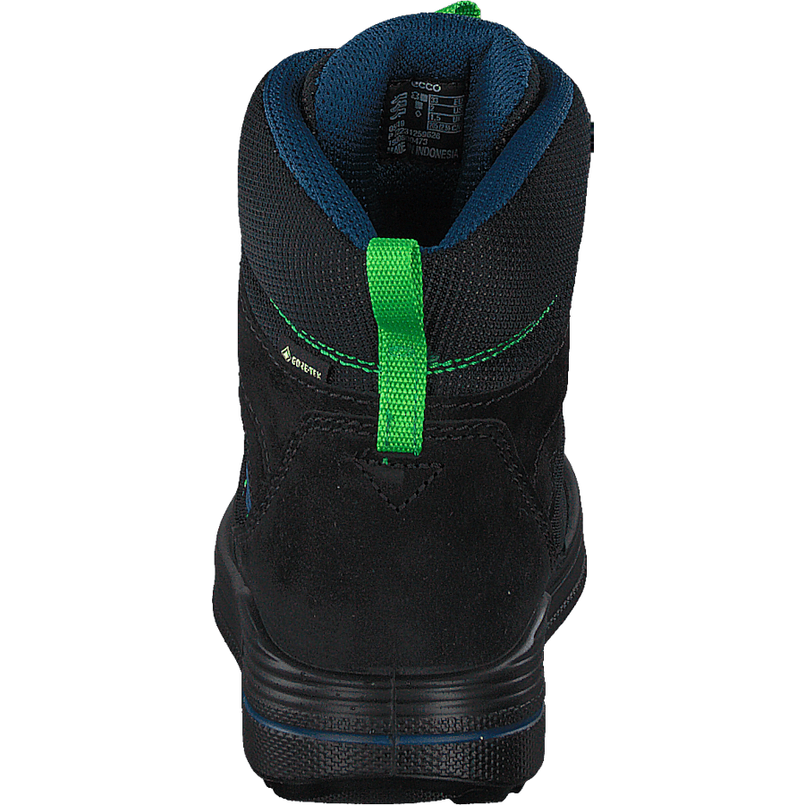 Urban Snowboarder Black/poseidon